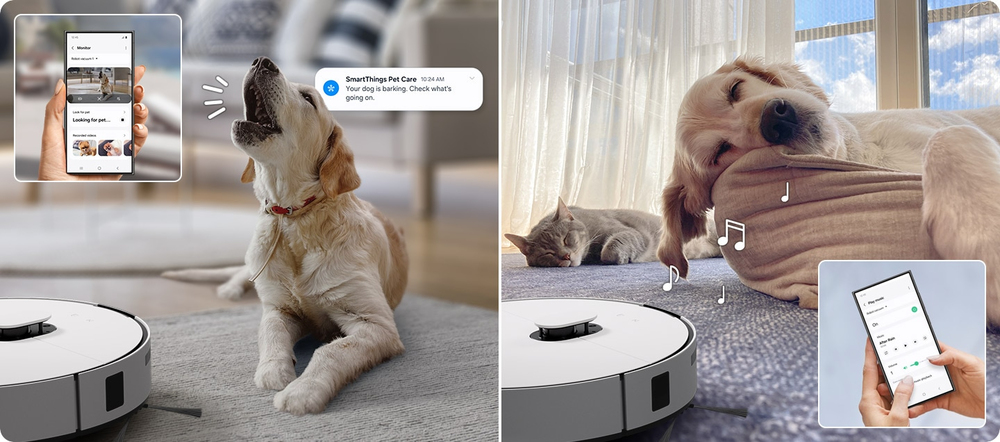Prüfe wie es deinem Hund oder deiner Katze geht