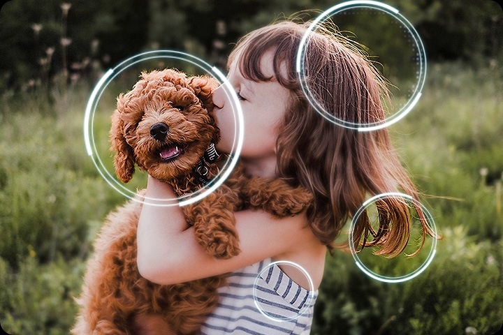 Genieße Inhalte in 4K-Qualität