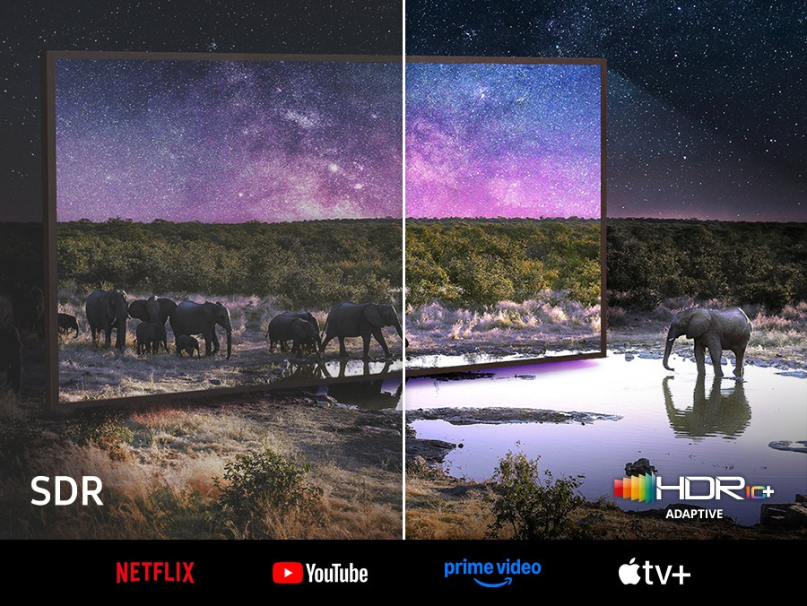 Erlebe 4K mit intensiven Farben und feinen Details